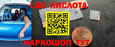 прущие грибы Краснокаменск