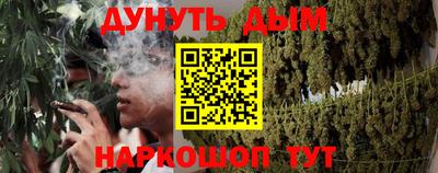 прущие грибы Краснокаменск