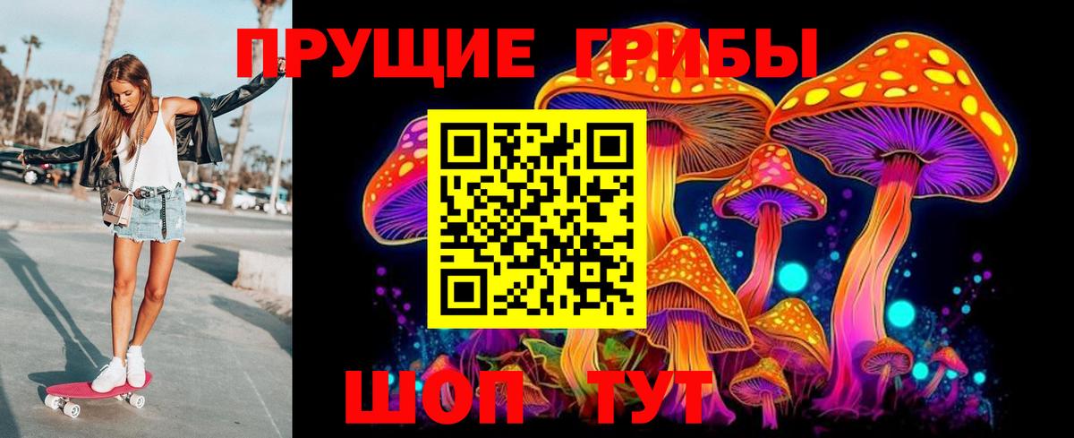 купить закладку  Псилоцибиновые грибы мицелий  Вход с VPN  Фролово 